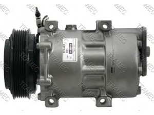 TEAMEC 8600066 kompresorius, oro kondicionierius 
 Oro kondicionavimas -> Kompresorius/dalys
7438610031, 7439144039, 7700111289