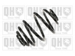QUINTON HAZELL QCS6049 spyruoklė 
 Pakaba -> Spyruoklės
96226988, 96273938, 96226988, 96273938