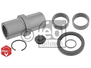 FEBI BILSTEIN 15991 remonto komplektas, pasukamojo kakliuko kaištis 
 Ašies montavimas/vairavimo mechanizmas/ratai -> Pasukamojo kakliuko remonto rinkinys -> Remonto komplektas, karbiuratorius
346 330 02 19