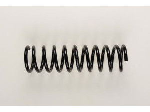BILSTEIN 36-129096 spyruoklė 
 Pakaba -> Spyruoklės
1 133 340, 33 53 1 133 340, 33 53 1 134 440