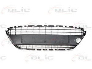 BLIC 6509-01-2565995P ventiliacijos grotelės, buferis
1532213