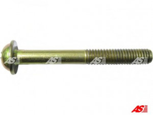 AS-PL SRS6011 remonto komplektas, starteris