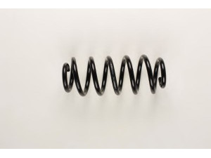 BILSTEIN 36-203208 spyruoklė 
 Pakaba -> Spyruoklės
4F0 411 105 BJ