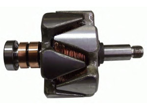 DELCO REMY 19025858 rotorius, kintamosios srovės generatorius