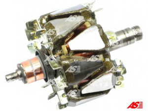 AS-PL AR5004 rotorius, kintamosios srovės generatorius