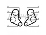 ROULUNDS RUBBER RR1463 paskirstymo diržas 
 Techninės priežiūros dalys -> Papildomas remontas
46129443