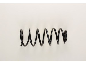 BILSTEIN 36-130849 spyruoklė 
 Pakaba -> Spyruoklės
357 411 105 N