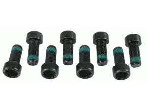 SACHS 1874 000 018 varžtų komplektas, smagratis
N   906 650 01, N   906 650 01