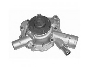 MAGNETI MARELLI 352316170667 vandens siurblys 
 Aušinimo sistema -> Vandens siurblys/tarpiklis -> Vandens siurblys
1112002401, 1112003901