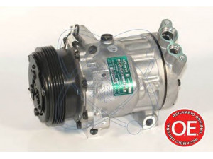 ELECTRO AUTO 20A1152 kompresorius, oro kondicionierius 
 Oro kondicionavimas -> Kompresorius/dalys
7700106069