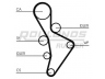 ROULUNDS RUBBER RR1061 paskirstymo diržas 
 Techninės priežiūros dalys -> Papildomas remontas
06D109119B, 06D109119D, 06D109119B