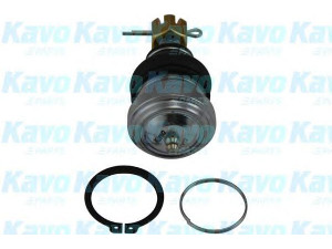 KAVO PARTS SBJ-9043 atramos/vairo trauklė
4330812020