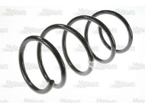 Magnum Technology SR006 spyruoklė 
 Pakaba -> Spyruoklės
6025308628