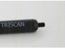 TRISCAN 8710 615159250 dujinė spyruoklė