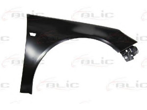 BLIC 6504-04-5079312P sparnas 
 Kėbulas -> Transporto priemonės priekis -> Sparnas/montavimo dalys
13277521, 13309867, 6102366