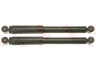 amortizatorius