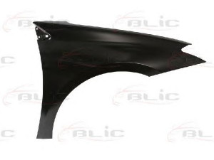 BLIC 6504-04-6056312P sparnas 
 Kėbulas -> Transporto priemonės priekis -> Sparnas/montavimo dalys
631000032R