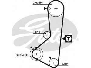 GATES 5075XS paskirstymo diržas 
 Techninės priežiūros dalys -> Papildomas remontas
MD015701, MD041390, MD098491, MD102249