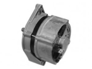 BTS Turbo L610811 kintamosios srovės generatorius
AL61175, AL67176, AL67177, AL81436