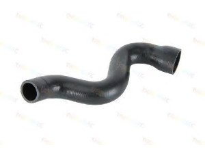 THERMOTEC DCW019TT kompresoriaus padavimo žarna
8D0 145 828 L, 8D0 145 828 L, 8D0 145 828 L