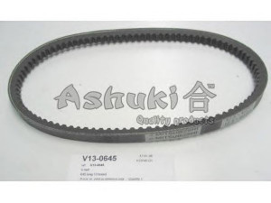 ASHUKI V13-0645 V formos diržas 
 Techninės priežiūros dalys -> Techninės priežiūros intervalai