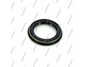 NPS N470N01C rato guolio komplektas
4023206R00, 4023206R10, 402320F000