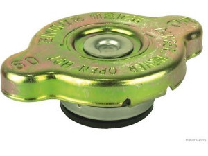 MAGNETI MARELLI 600000048000 radiatoriaus dangtelis
1K2N1-15-205, 25330-17000, 25330-2D090