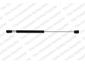 ROC GS1050 dujinė spyruoklė, gaubtas