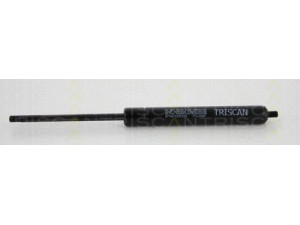 TRISCAN 8710 615201250 dujinė spyruoklė
