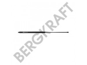 BERGKRAFT BK2938921SP dujinė spyruoklė, priekinis skydas
1611 159, 1611159