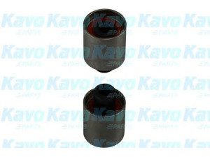 KAVO PARTS DID-8008 kreipiantysis skriemulys, paskirstymo diržas 
 Diržinė pavara -> Paskirstymo diržas/komplektas -> Laisvasis/kreipiamasis skriemulys
13073AA200, 13073AA220, 13073AA230