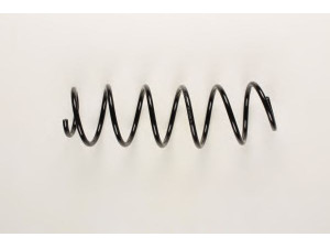 BILSTEIN 36-201525 spyruoklė 
 Pakaba -> Spyruoklės
50700518, 50701021