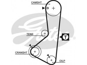 GATES 5110 paskirstymo diržas 
 Techninės priežiūros dalys -> Papildomas remontas
MD013805, MD015310, MD095866, MD102248