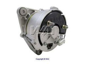 WAIglobal 13018R kintamosios srovės generatorius
3139172R91, 12311353417, 12311353422