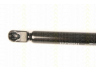 TRISCAN 8710 50244 dujinė spyruoklė, bagažinė 
 Priedai -> Bagažinė/pakrovimo skyrius
D651-62-620, D651-63-620