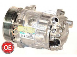 ELECTRO AUTO 20A1348 kompresorius, oro kondicionierius 
 Oro kondicionavimas -> Kompresorius/dalys
9660555580, 9660555580