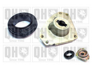 QUINTON HAZELL EMA1836 remonto komplektas, pakabos statramstis 
 Pakaba -> Pakabos statramsčio guolis
60570731*, 60806398*, 60809630*