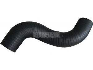 BUGIAD 88606 kompresoriaus padavimo žarna 
 Išmetimo sistema -> Turbokompresorius
PNH101801