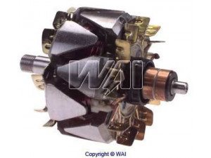 WAIglobal 28-211 rotorius, kintamosios srovės generatorius
F8AU10335AA
