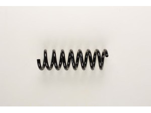 BILSTEIN 36-154159 spyruoklė 
 Pakaba -> Spyruoklės
211 324 06 04, 994 083