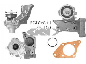 SPIDAN 91282 vandens siurblys 
 Aušinimo sistema -> Vandens siurblys/tarpiklis -> Vandens siurblys
1304612080, 1312388080, 131746080