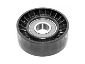 MAGNETI MARELLI 331316170251 įtempiklio skriemulys, V formos rumbuotas diržas
04792495AB
