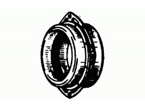 DELCO REMY 1894490 statorius, kintamosios srovės generatorius