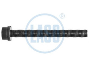 LASO 95017106 cilindro galvutės varžtas
022 103 384 C