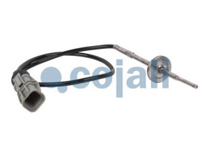 COJALI 2260399 siuntimo blokas, alyvos temperatūra
81274210253, 81274210264