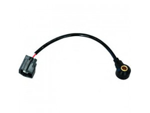 FISPA 84.042 detonacijos jutiklis 
 Elektros įranga -> Jutikliai
1119941, 1358032, 1S7A12A699BA