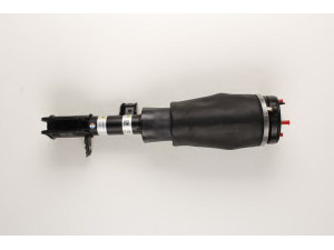 BILSTEIN 45-241727 pneumatinės spyruoklės statramstis
LR0 32570, RNB 501350, RNB501530