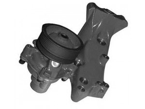 MAGNETI MARELLI 352316170349 vandens siurblys 
 Aušinimo sistema -> Vandens siurblys/tarpiklis -> Vandens siurblys
1313021080, 1317466080
