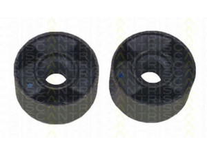 TRISCAN 8500 11806 valdymo svirties/išilginių svirčių įvorė 
 Ašies montavimas/vairavimo mechanizmas/ratai -> Valdymo svirtis/pasukamosios svirties sujungimas -> Montavimas/sutvirtinimas
31 12 1 127 377, 31 12 1 127 378