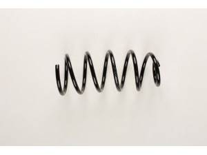 BILSTEIN 37-134228 spyruoklė 
 Pakaba -> Spyruoklės
1J0 411 105 AR
